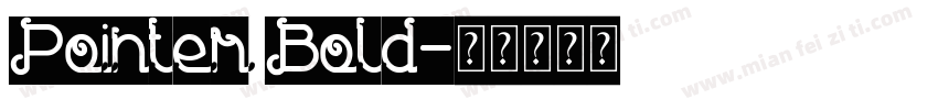 Pointer Bold字体转换